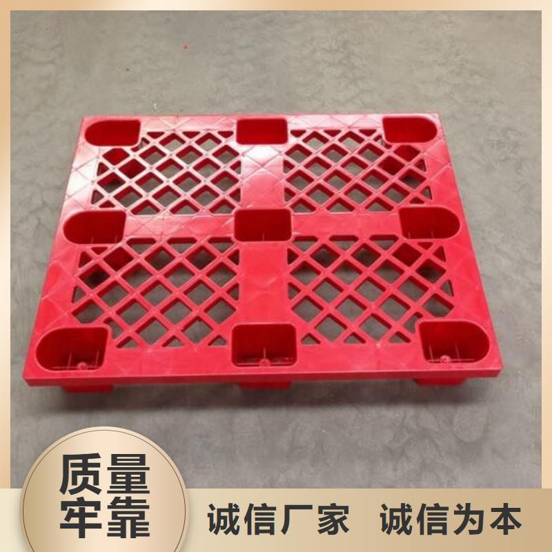 鸡舍塑料垫板价格合理