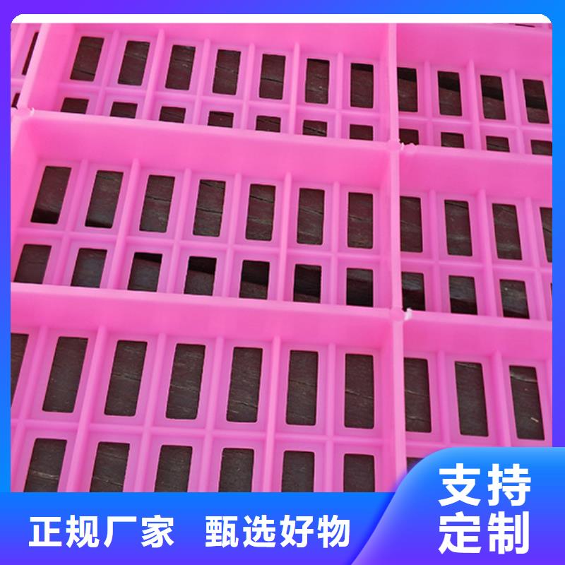 鸡舍塑料垫板施工方案