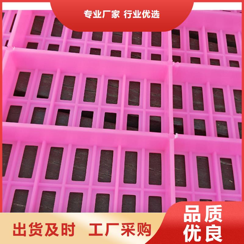 塑料垫板图片与价格大厂家选的放心