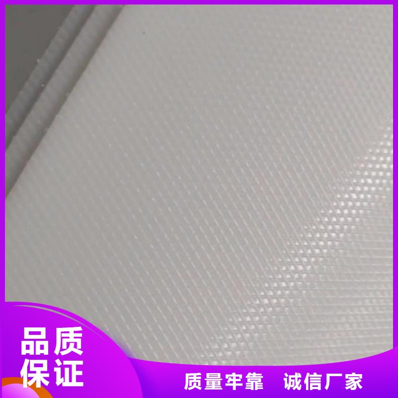 叉车推拉器塑料滑板尼龙轮保质保量