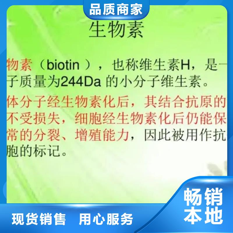 维成素B7厂家