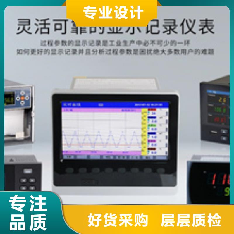 PDM1201-A08-B00双通道机壳振动监测表-高品质低价格