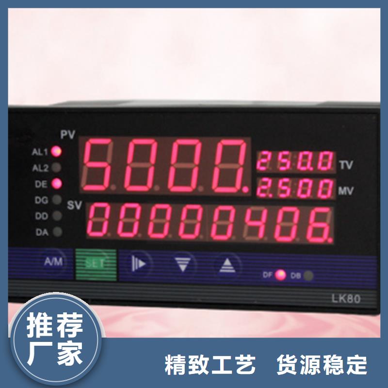 双回路控制仪LDSQ-3172/V-厂家直供