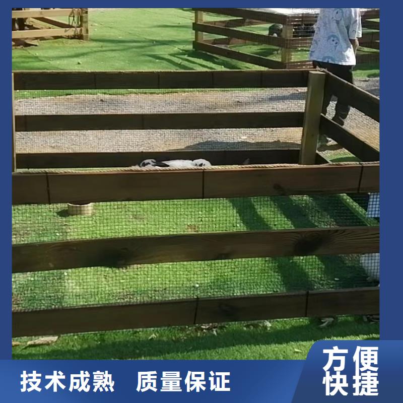 马戏团/羊驼-杂技表演租赁服务明码标价