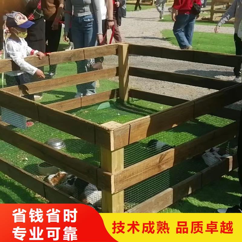 马戏团/羊驼-美人鱼表演信誉良好