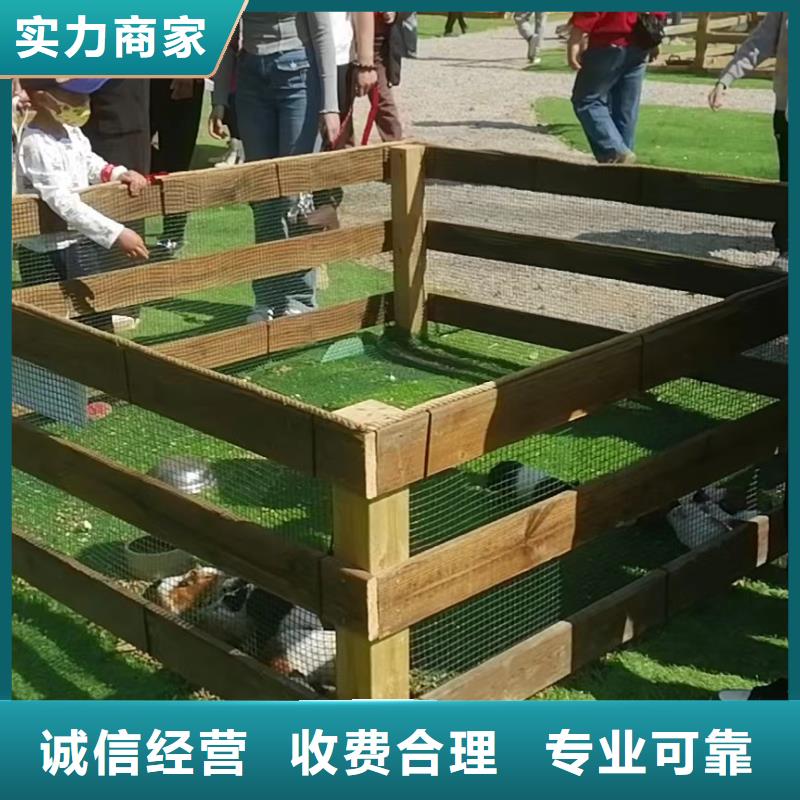 马戏团/羊驼 【企鹅表演出租】资质齐全