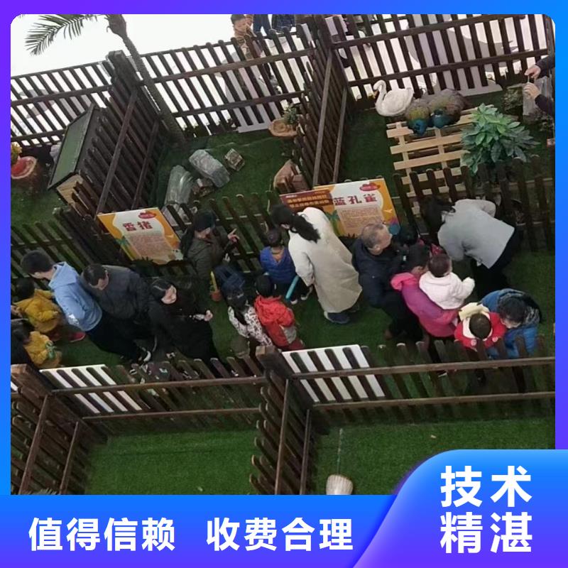 马戏团/羊驼动物表演出租2025公司精心