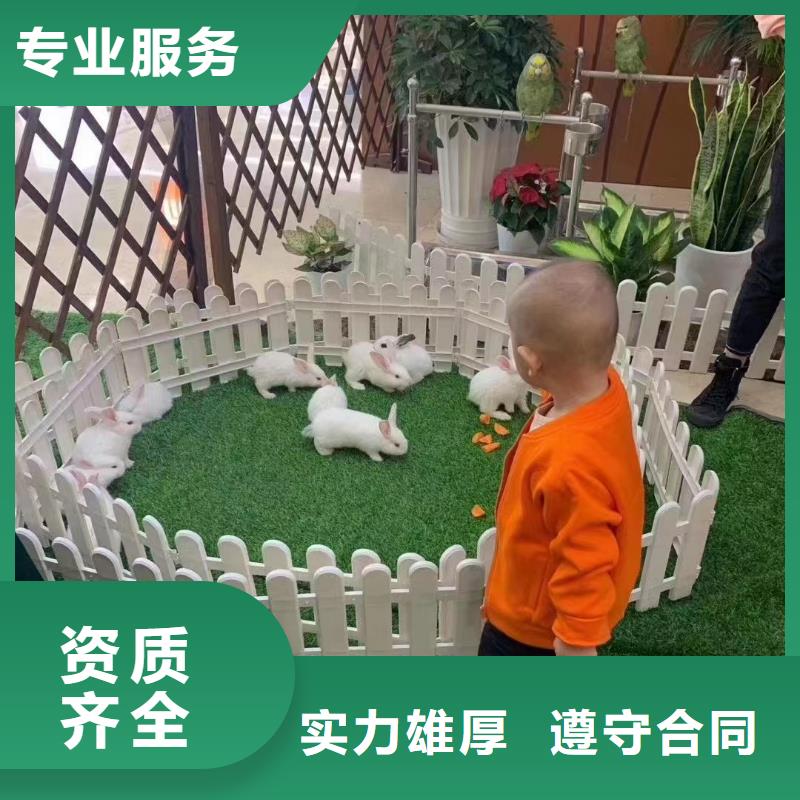 【马戏团/羊驼马戏团表演专业承接】