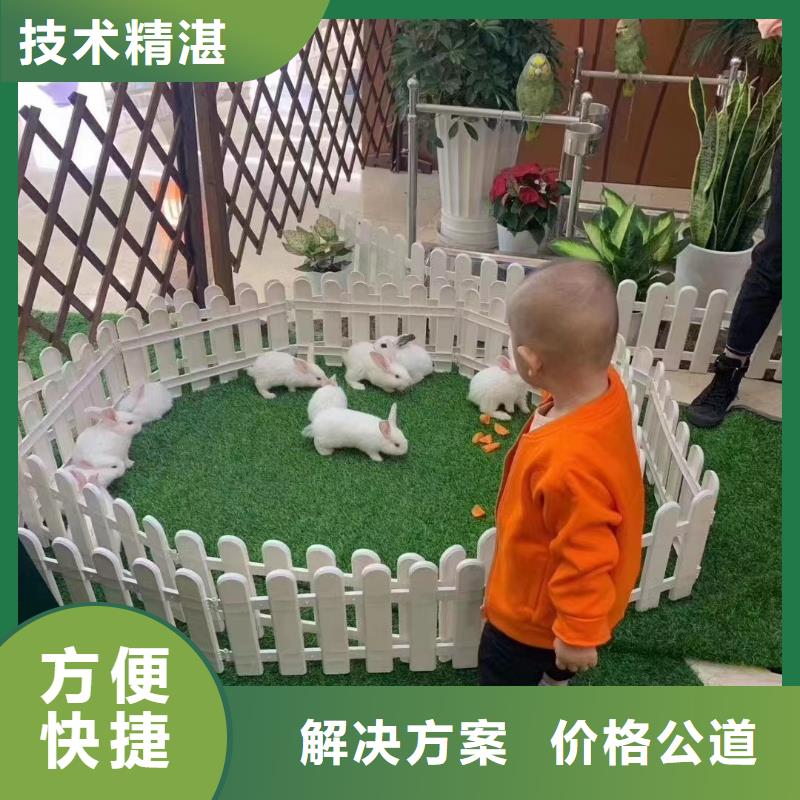 马戏团/羊驼_动物表演出租公司