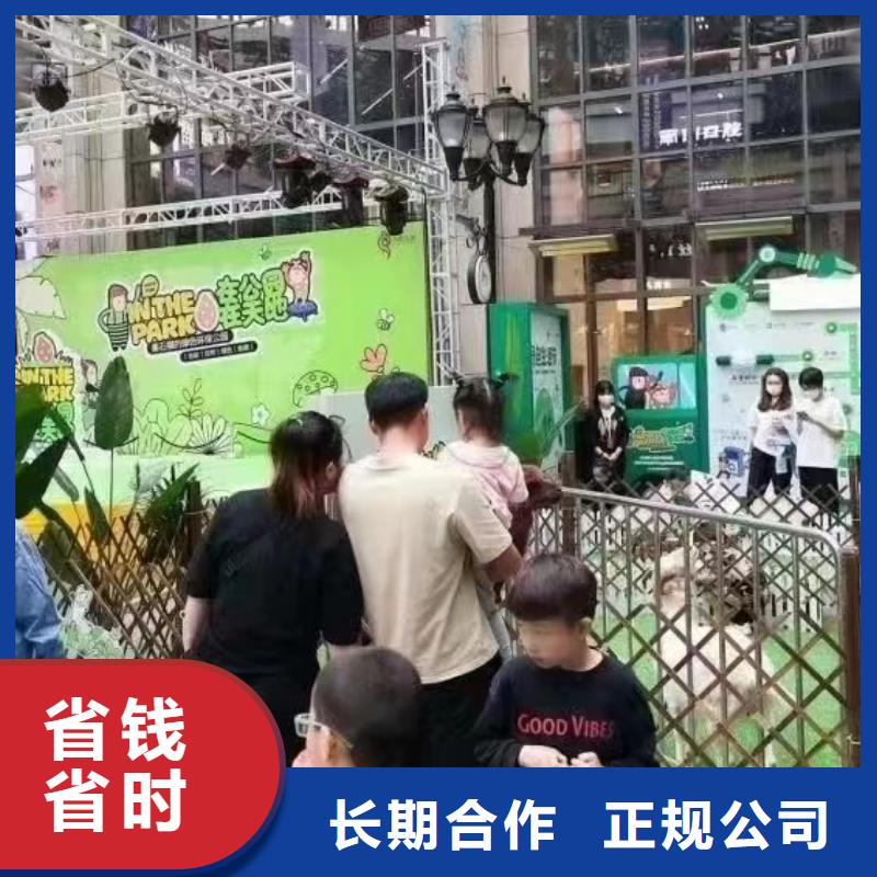 马戏团/羊驼-动物展览秀实力强有保证