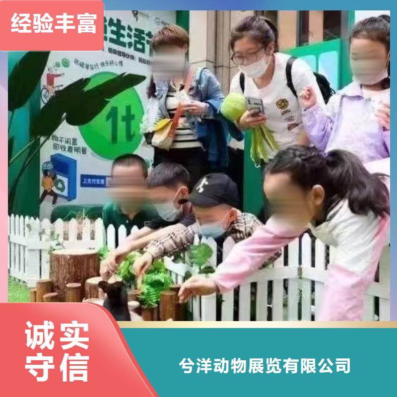 马戏团/羊驼鹦鹉表演租赁价格透明