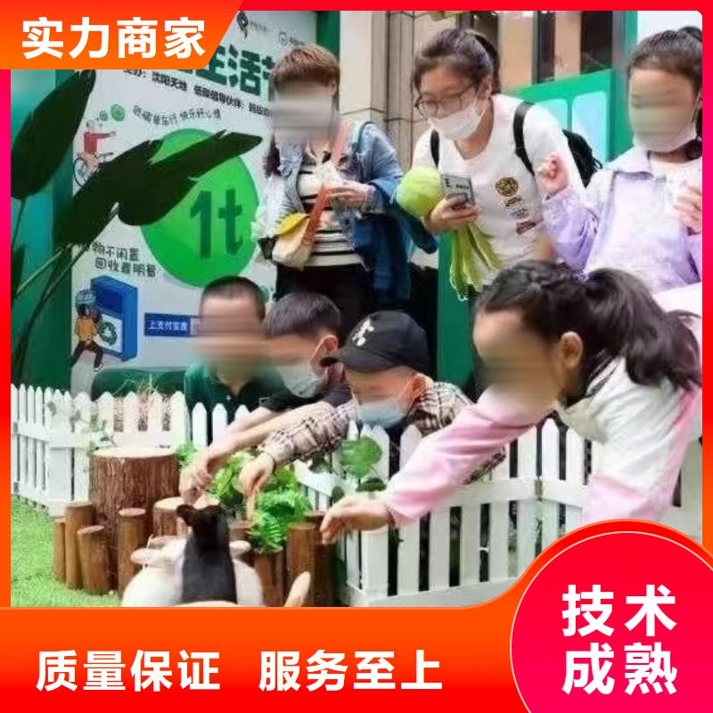 马戏团/羊驼美人鱼表演优质服务