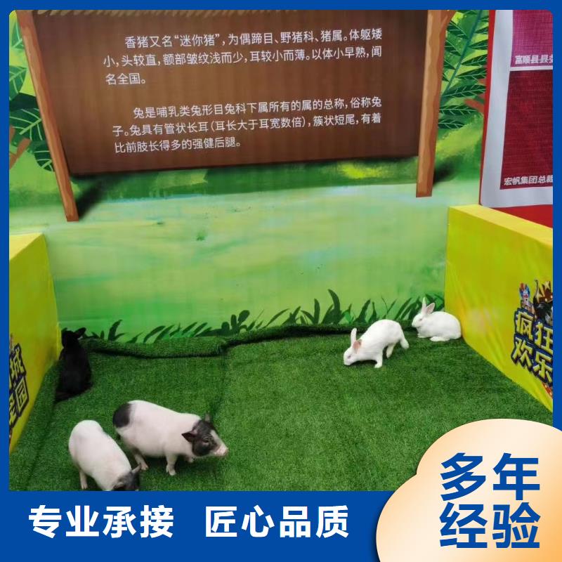 马戏团/羊驼鹦鹉表演出租欢迎合作