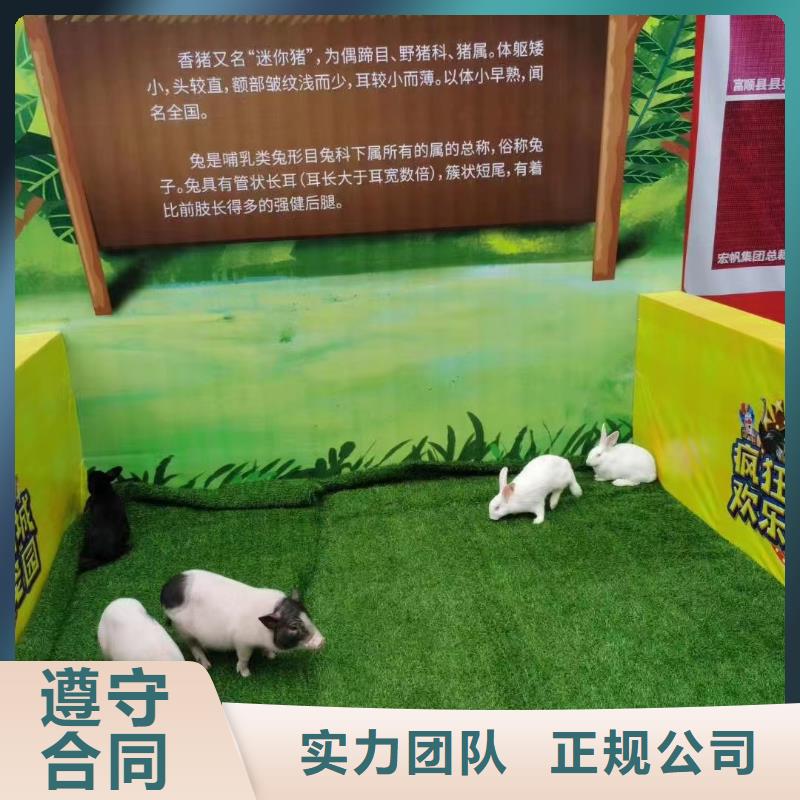 马戏团/羊驼萌宠动物展出租值得信赖