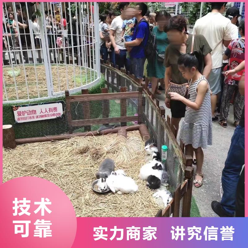 马戏团/羊驼_出租马戏团表演技术成熟