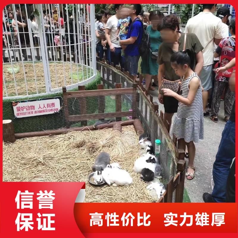 马戏团/羊驼-杂技表演租赁服务明码标价