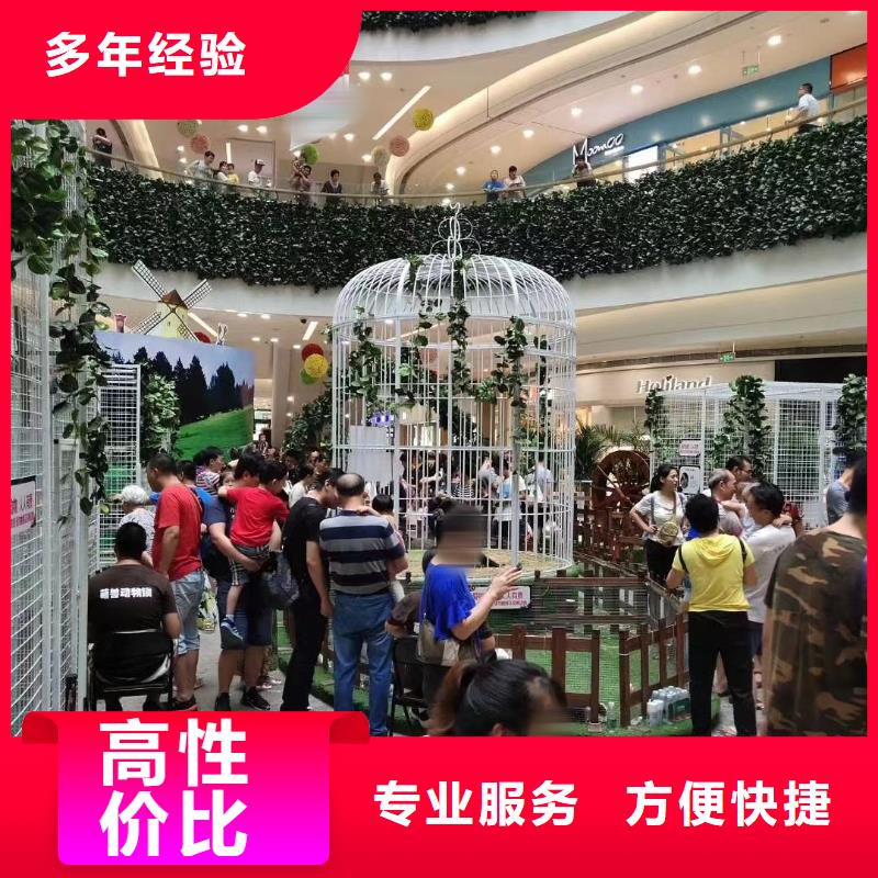 马戏团/羊驼马戏团表演价格透明