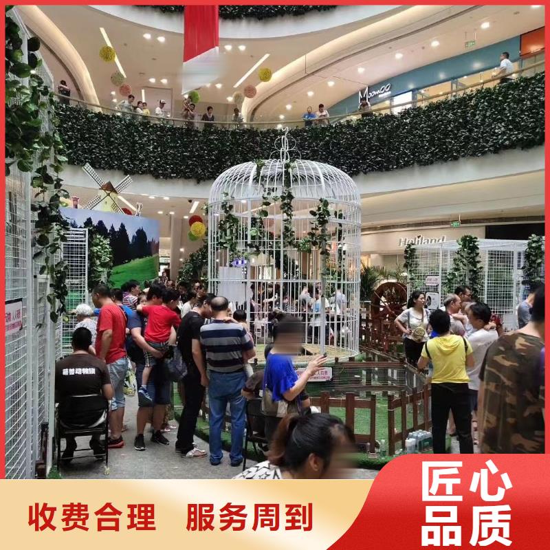 【马戏团/羊驼,房地产开盘庆典多年行业经验】
