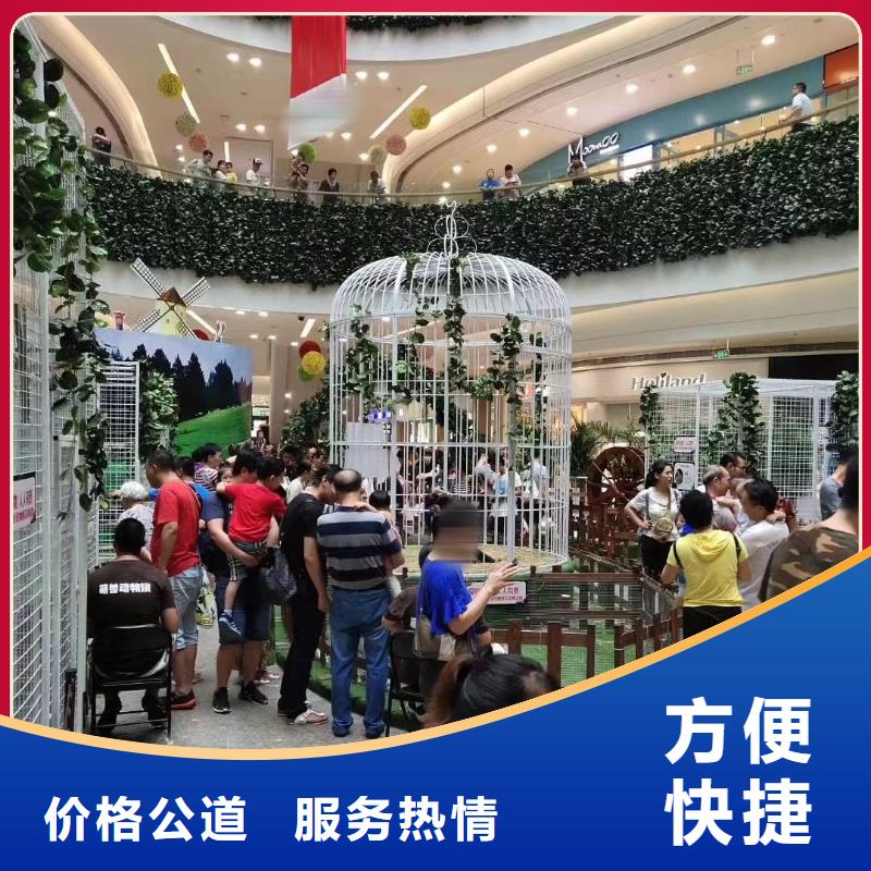 【马戏团/羊驼鹦鹉表演2025专业的团队】