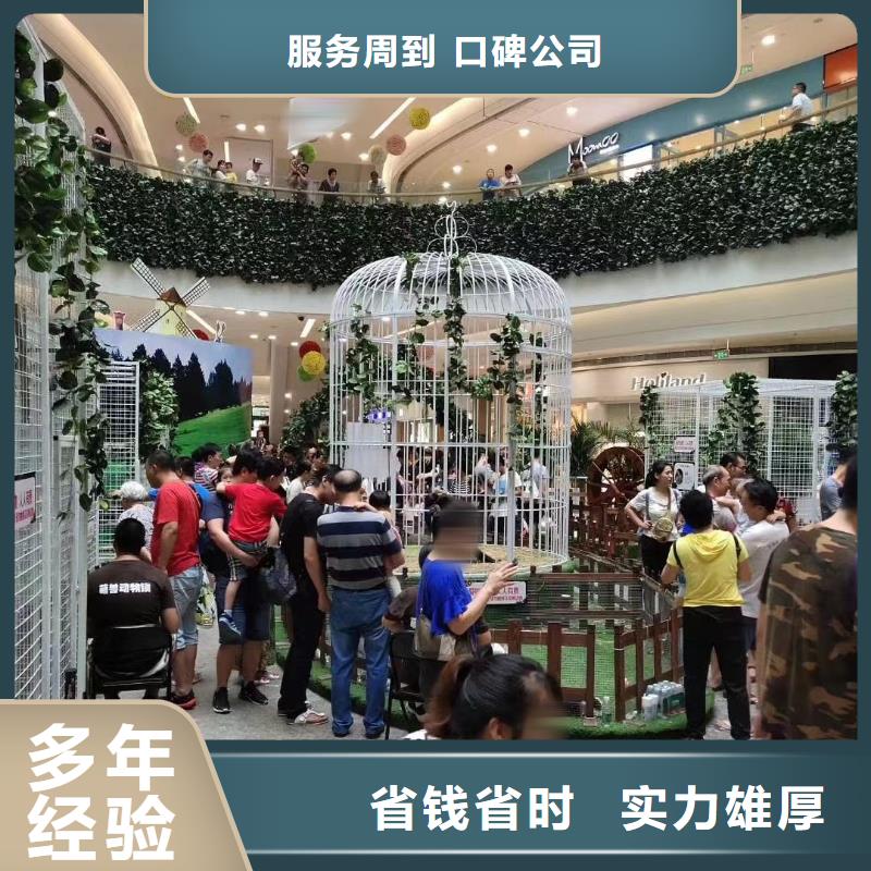 马戏团/羊驼海狮表演出租服务至上