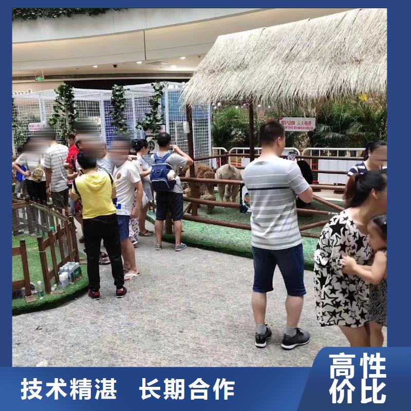 【马戏团/羊驼】景区杂技表演实力公司