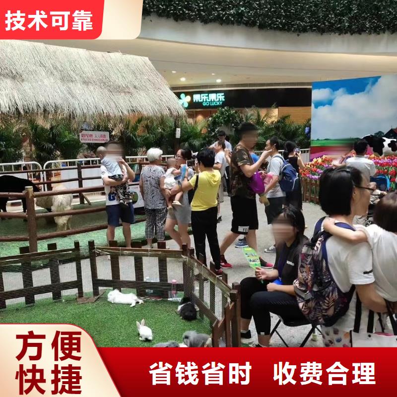 马戏团/羊驼出租表演海狮多年经验