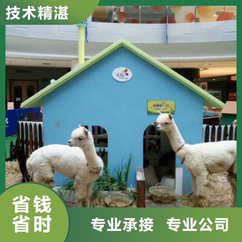 马戏团/羊驼,【动物表演租赁】2025专业的团队