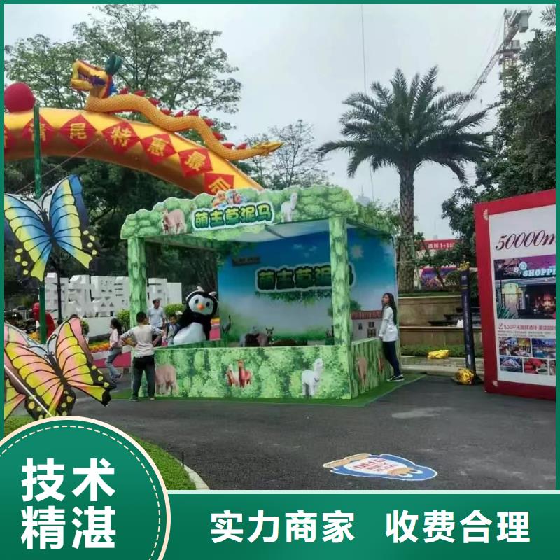 马戏团/羊驼-动物展览秀质优价廉