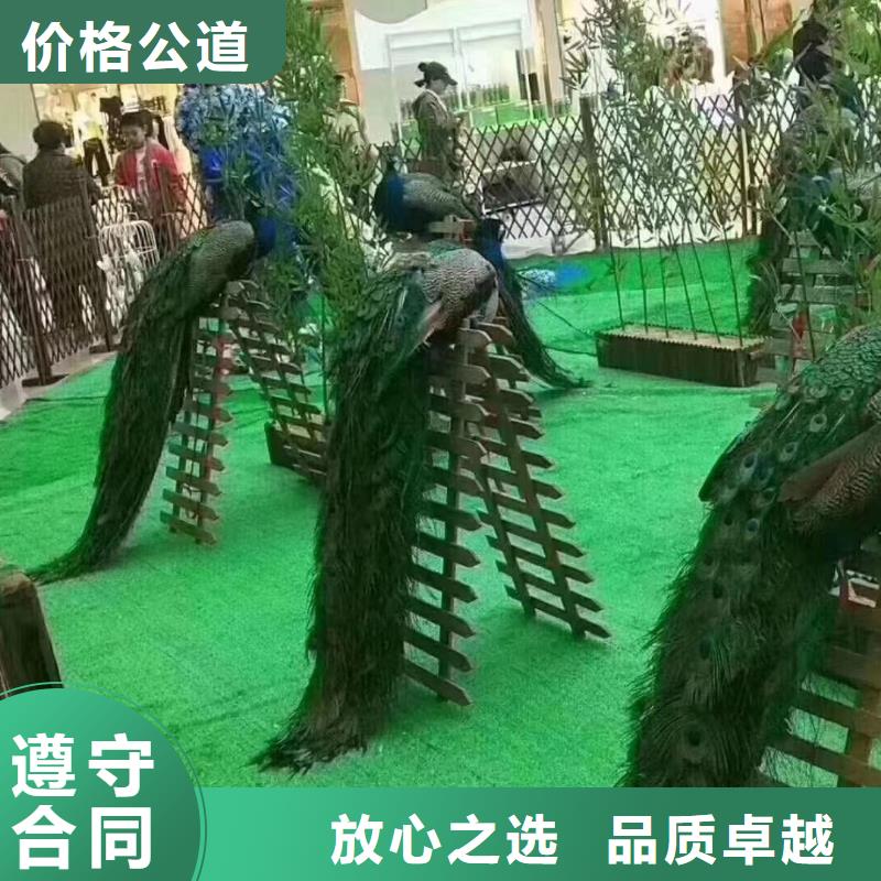 马戏团/羊驼_企鹅出租实力商家