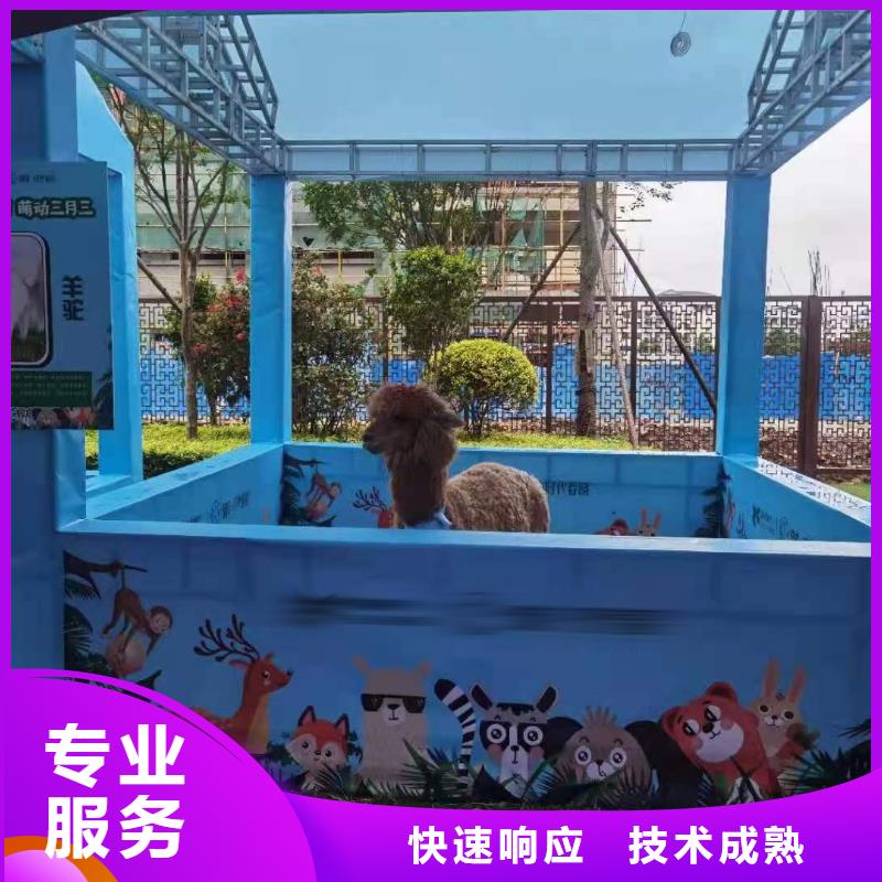 马戏团/羊驼-羊驼出租齐全