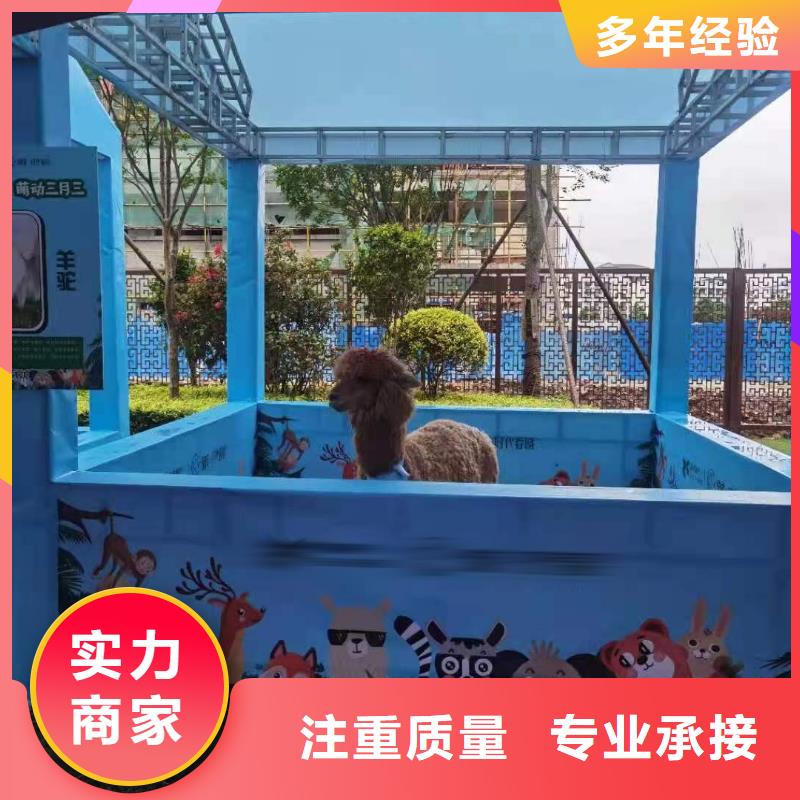 马戏团/羊驼海狮表演出租质量保证