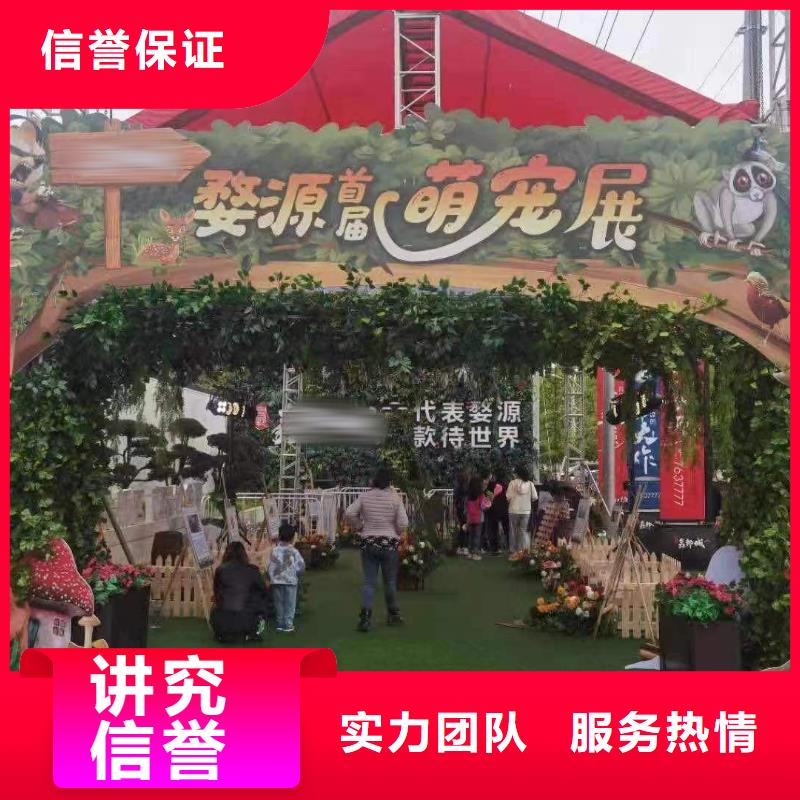 马戏团/羊驼,马戏表演售后保障