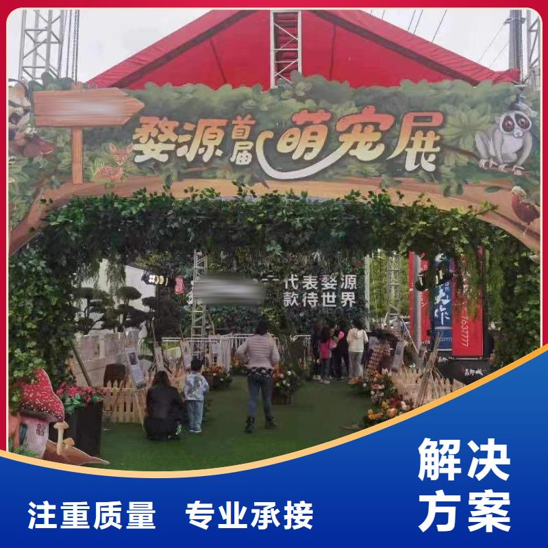 马戏团/羊驼动物表演口碑公司