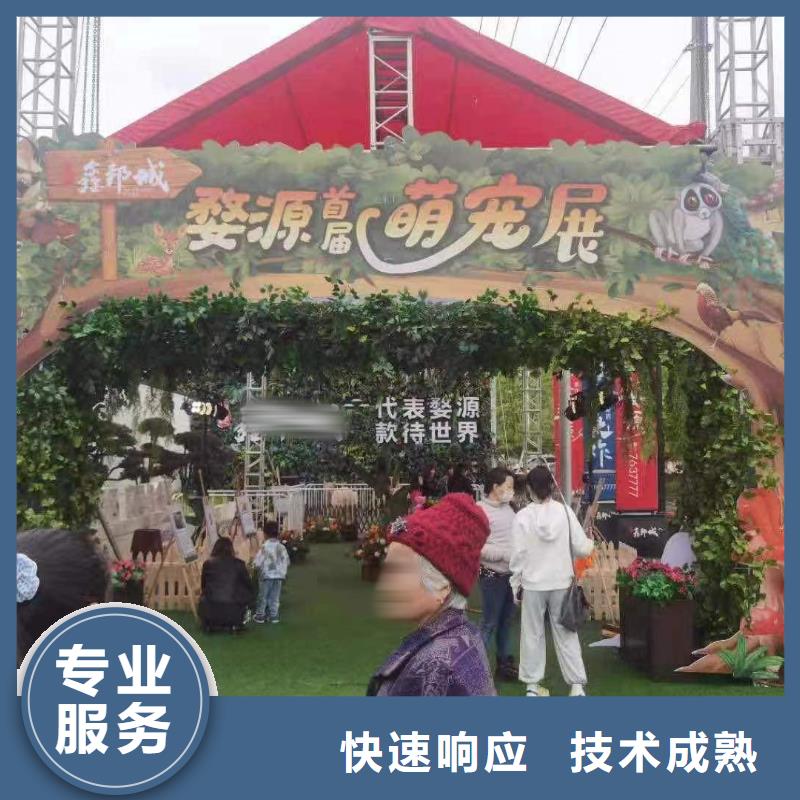 【马戏团/羊驼吉祥百鸟展售后保障】