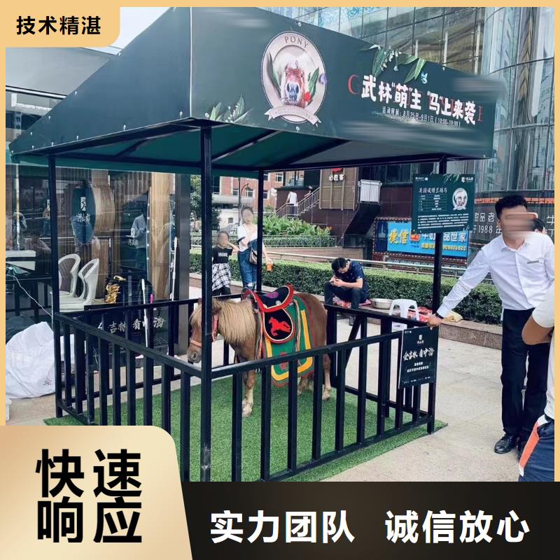 【马戏团/羊驼】杂技表演放心