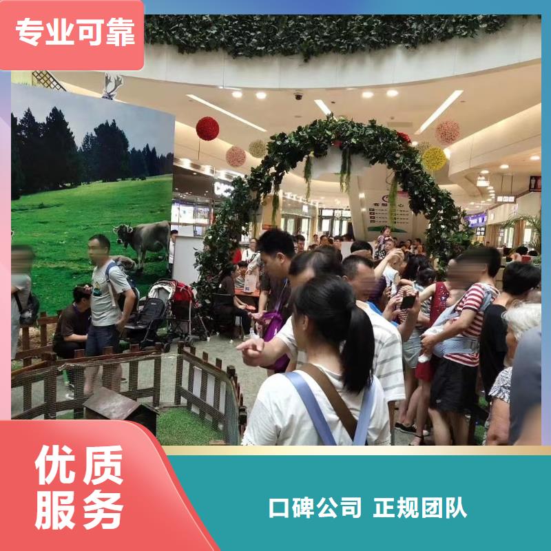 马戏团/羊驼_出租马戏团表演专业服务
