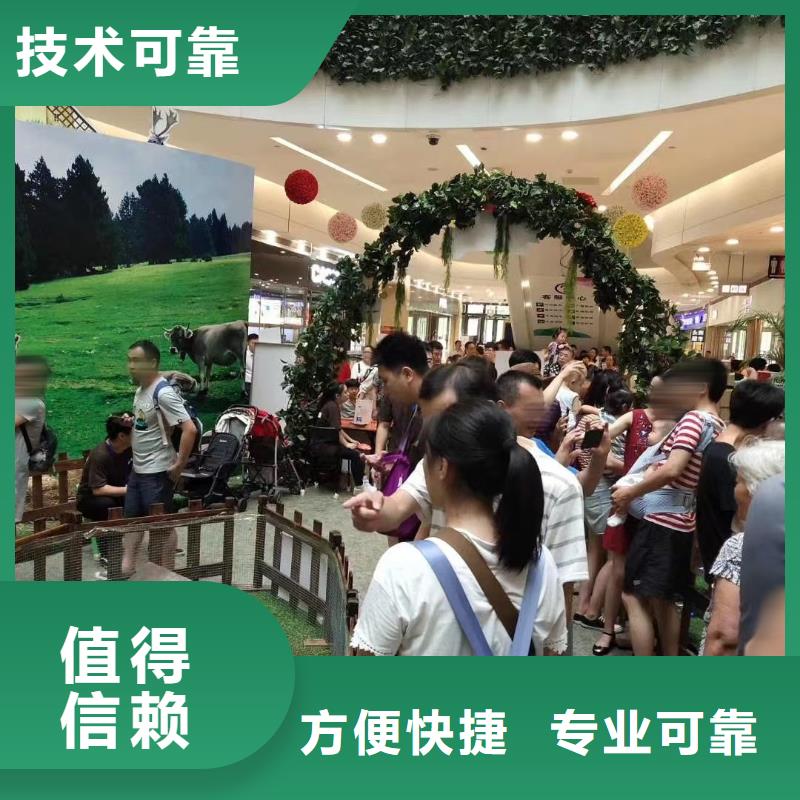 马戏团/羊驼表演羊驼租赁快捷