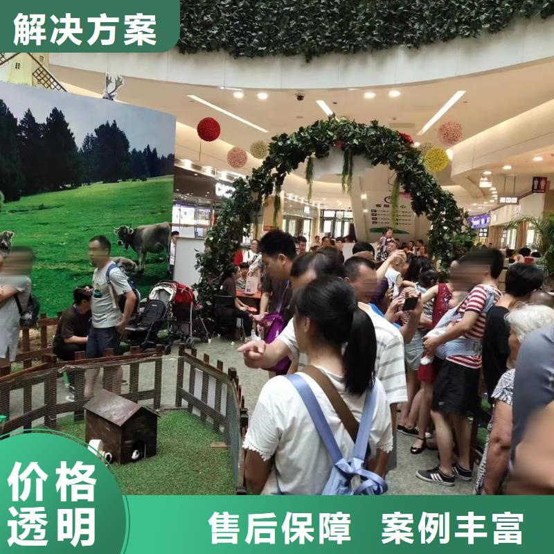 【马戏团/羊驼】羊驼出租诚信