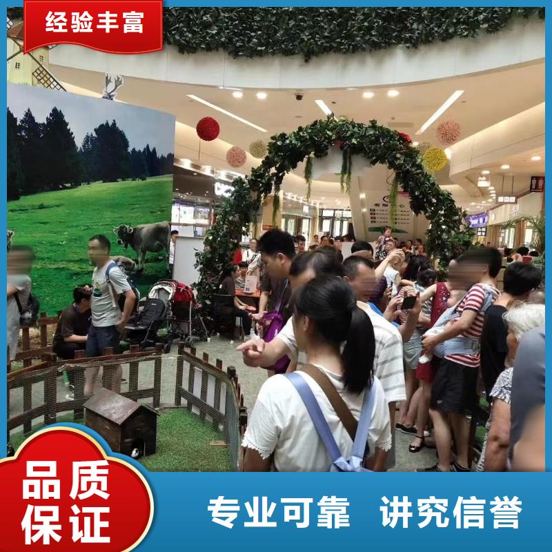 马戏团/羊驼,马戏表演售后保障