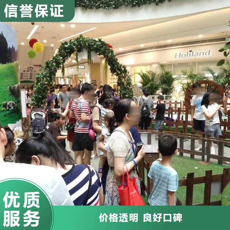 马戏团/羊驼-【【海狮表演】】实力团队