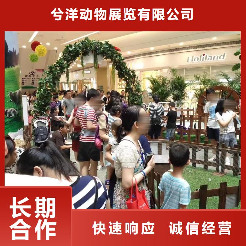 【马戏团/羊驼驯兽表演拒绝虚高价】