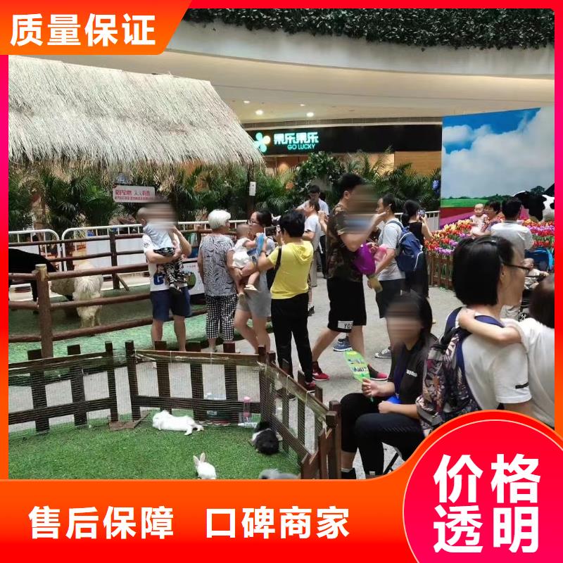 马戏团/羊驼_出租马戏团表演专业服务