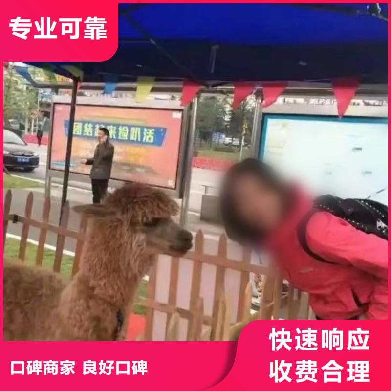 马戏团/羊驼,【马戏团表演出租租赁】欢迎合作