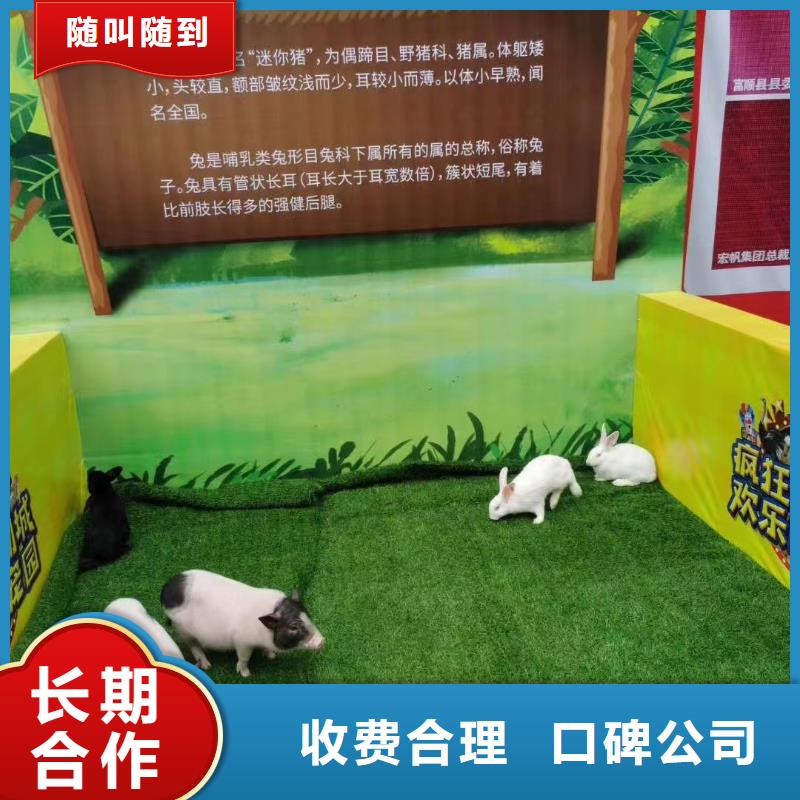 马戏团/羊驼美人鱼表演一对一服务