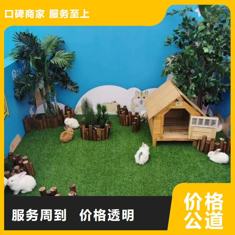 马戏团/羊驼【出租表演萌宠】全市24小时服务