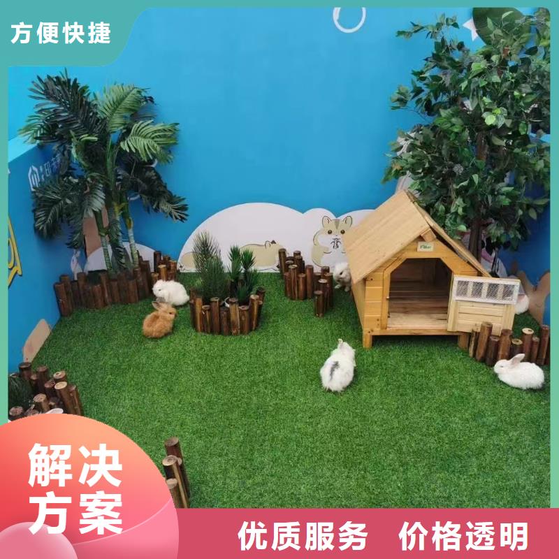 马戏团/羊驼_海狮表演出租质量保证