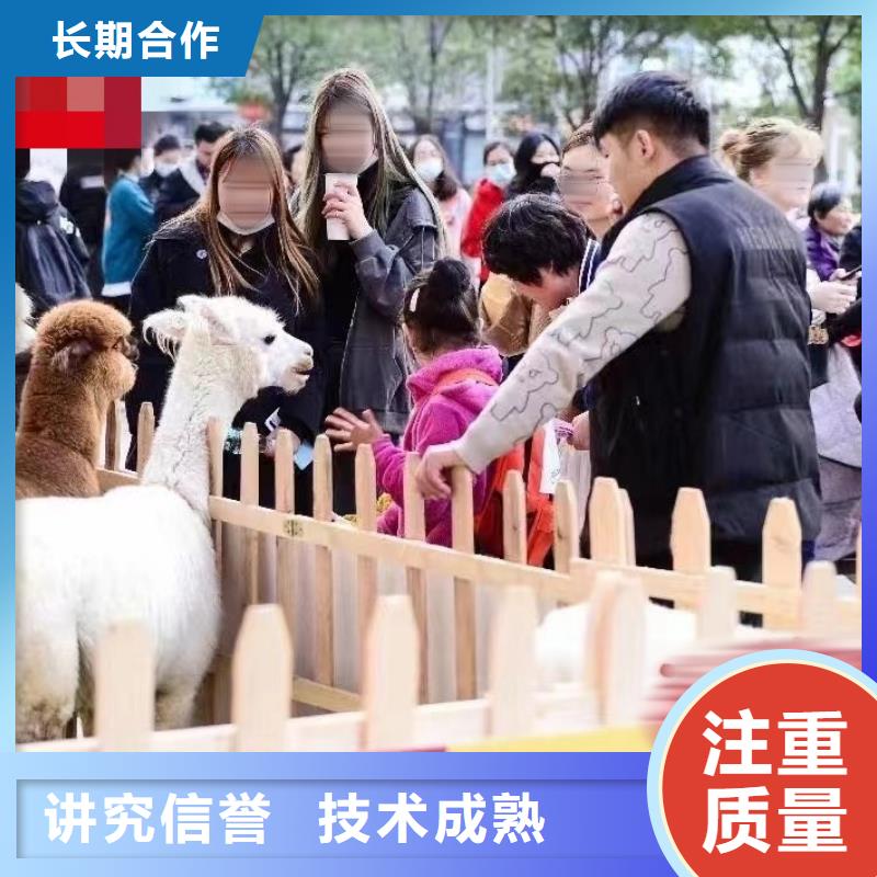 【马戏团/羊驼表演动物出租售后保障】