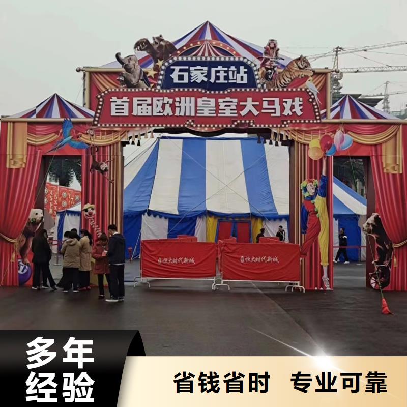【马戏团/羊驼海狮表演租赁快速】