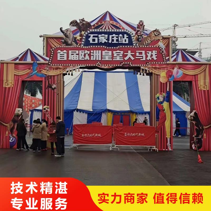 马戏团/羊驼,马戏团表演出租技术精湛