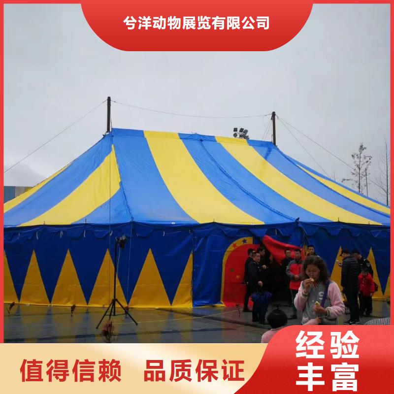 马戏团/羊驼,海洋展租赁质量保证
